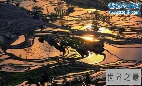 中国十大最美梯田，古朴的乡村生活(天上人间)