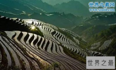 ​中国十大最美梯田，古朴的乡村生活(天上人间)