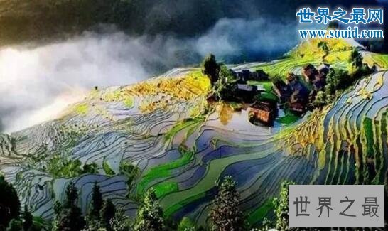 中国十大最美梯田，古朴的乡村生活(天上人间)