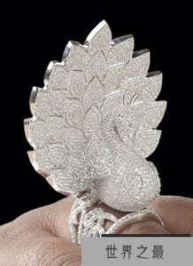 ​一枚镶嵌最多钻石的戒指，3827颗