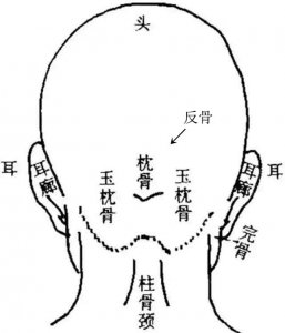 ​古人所说的反骨究竟是怎么看的？史上有反骨的人除了魏延还有仨