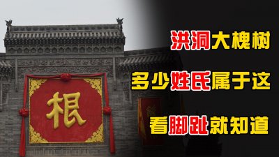 ​山西洪洞大槐树，千万人的寻根之地，中国多少姓氏是从这里迁来的